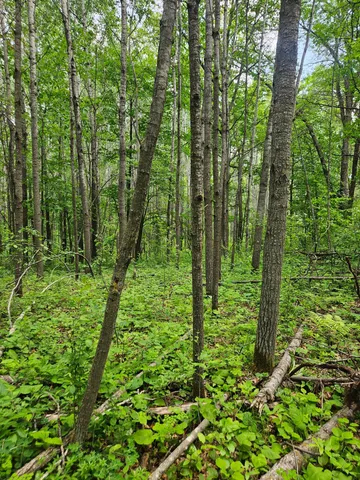 $89,900 | Parcel E Parcel E Rogue Way, Ironton, MN 56455