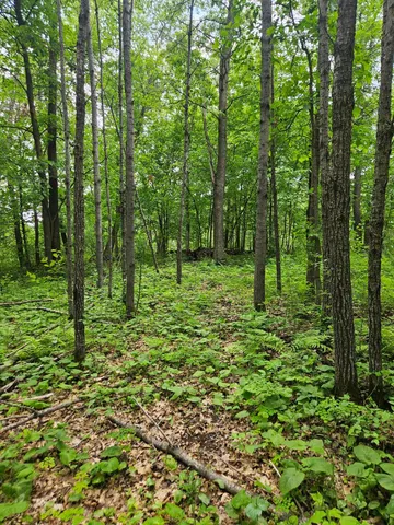 $89,900 | Parcel E Parcel E Rogue Way, Ironton, MN 56455