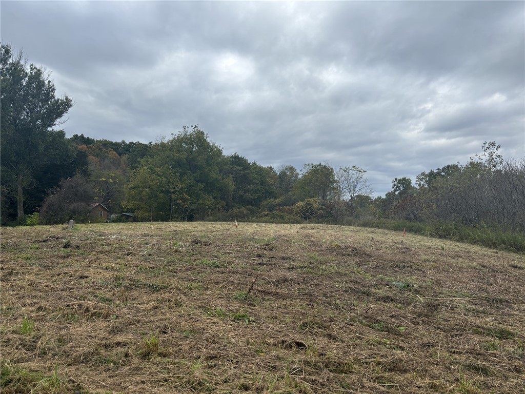 2 State Route 70 Canaseraga, NY 14822 - Photo 2 of 4