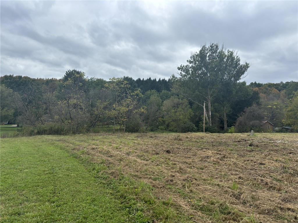 2 State Route 70 Canaseraga, NY 14822 - Photo 3 of 4