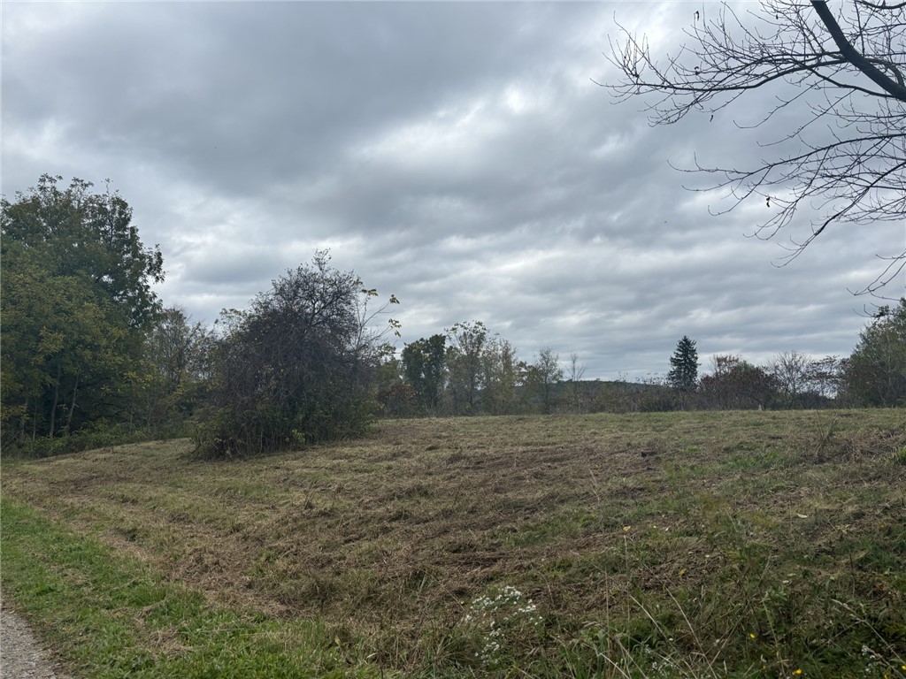 2 State Route 70 Canaseraga, NY 14822 - Photo 4 of 4