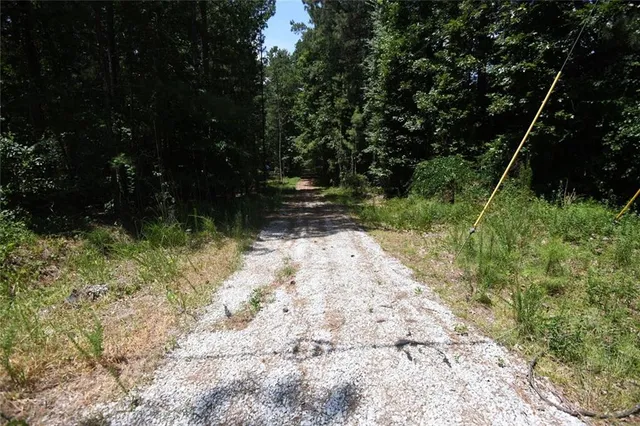 a view of backyard with green space