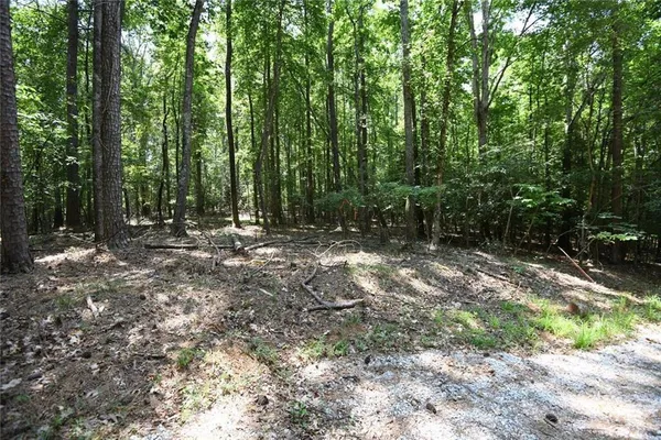 a view of outdoor space with trees all around