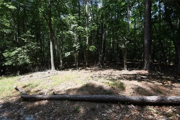 a view of large tree with wooden fence