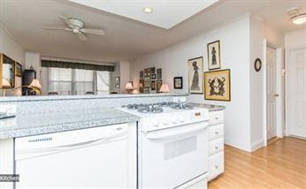 151 Tremont Street, Unit 7B Boston, MA 02111 - Photo 4 of 14 a kitchen with a stove and a sink