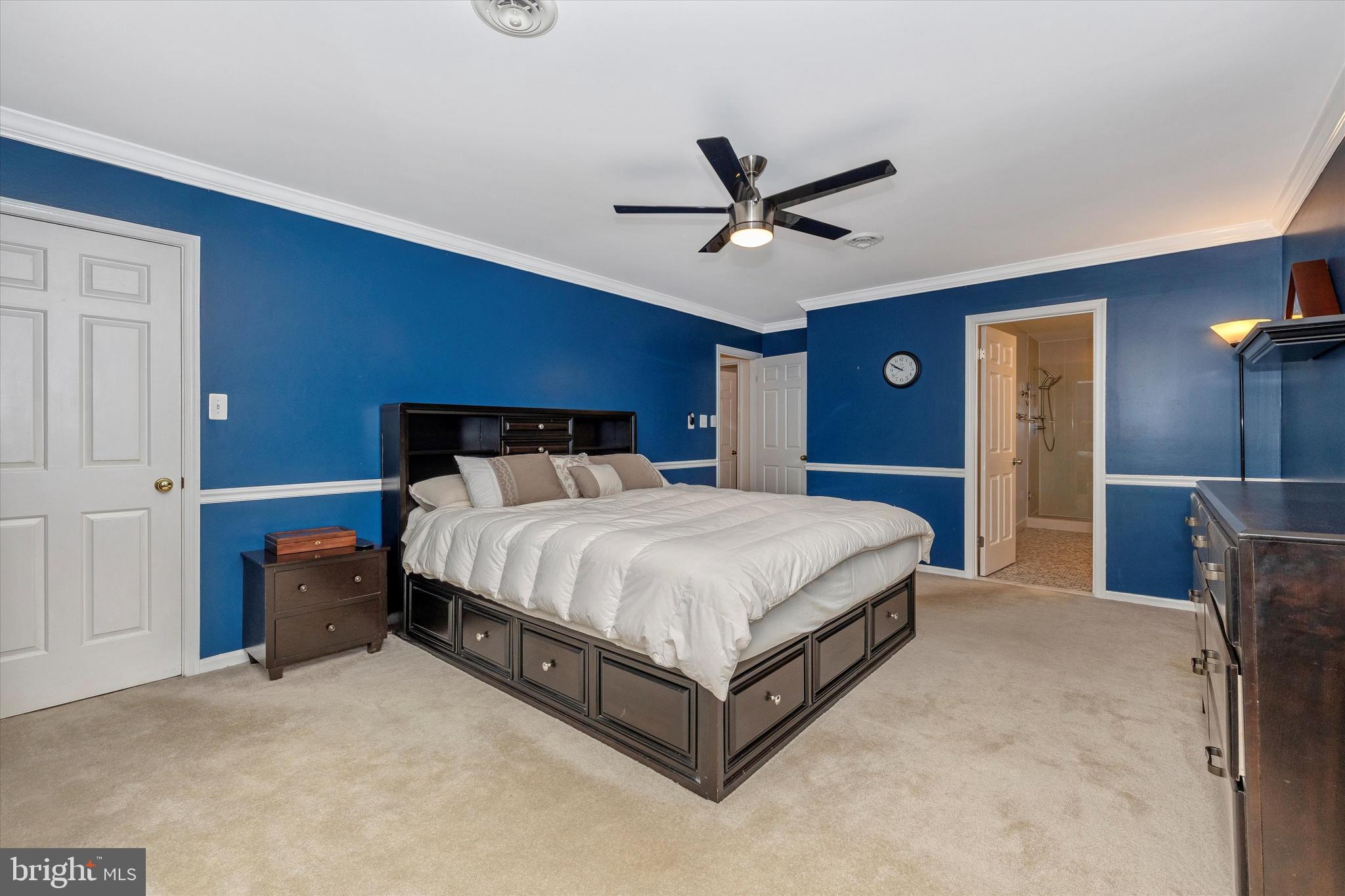 11100 Watkins Road Germantown, MD 20876 - Photo 25 of 70 Primary Bedroom