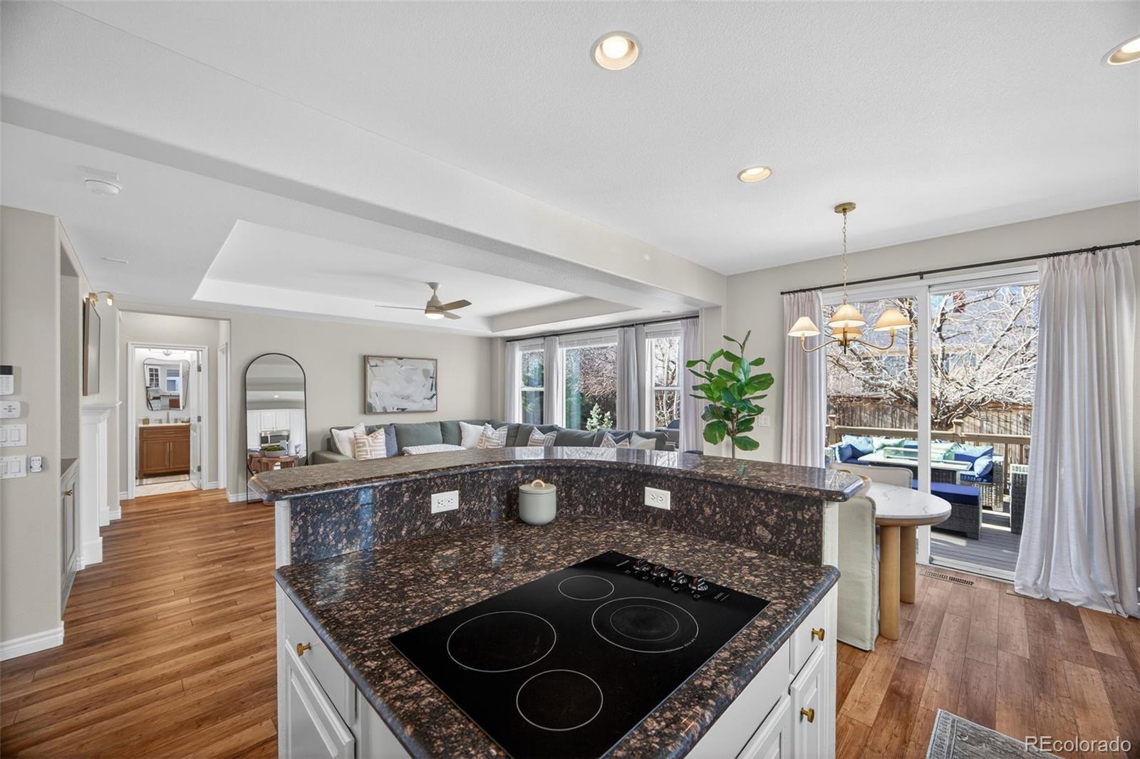 4748 Bluegate Drive Highlands Ranch, CO 80130 - Photo 19 of 47