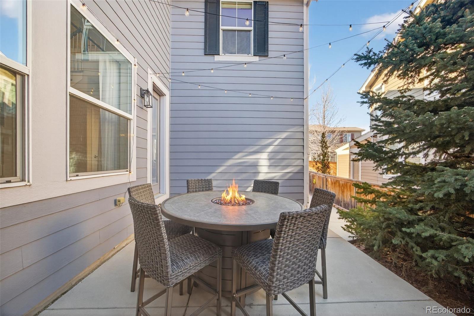 4748 Bluegate Drive Highlands Ranch, CO 80130 - Photo 41 of 47