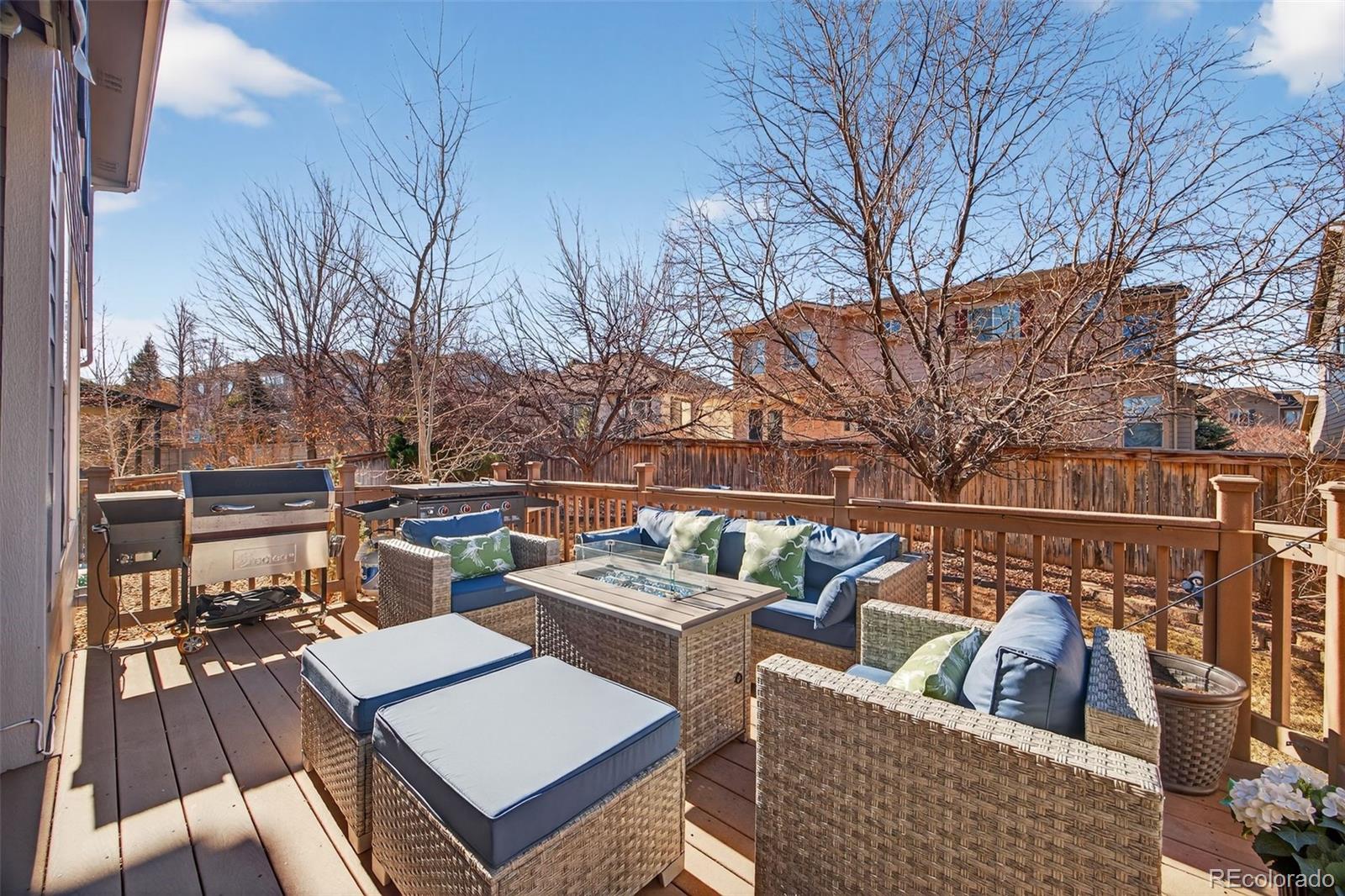 4748 Bluegate Drive Highlands Ranch, CO 80130 - Photo 42 of 47