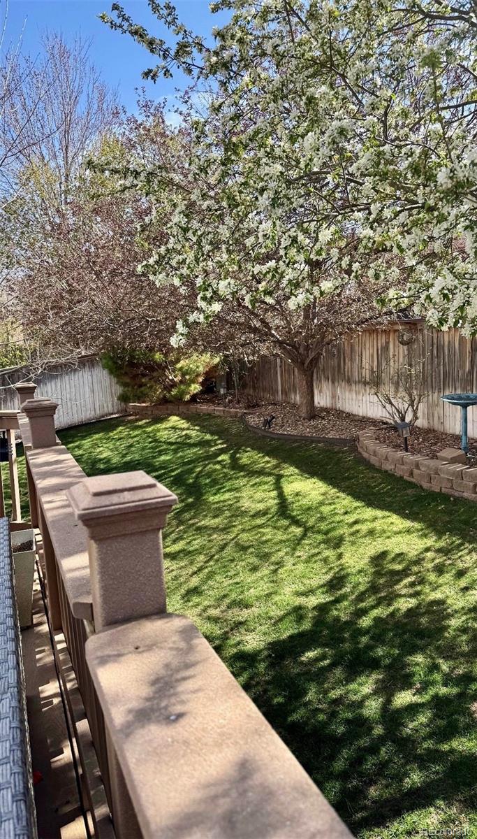 4748 Bluegate Drive Highlands Ranch, CO 80130 - Photo 49 of 49 a view of a backyard with sitting area