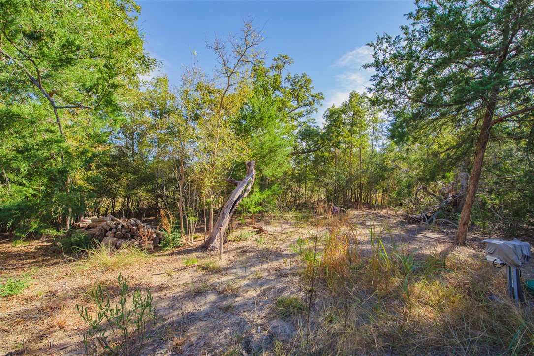 551 Boysenberry Road Somerville, TX 77879 - Photo 26 of 38 a view of outdoor space and trees