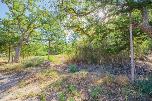 a view of a yard with trees
