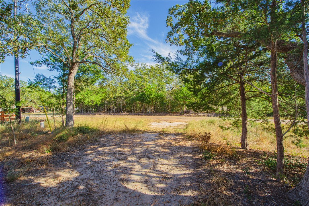 551 Boysenberry Road Somerville, TX 77879 - Photo 35 of 38 a view of yard with large trees