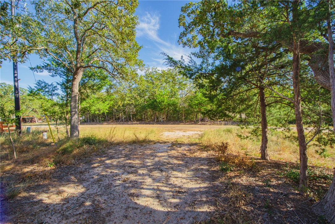 551 Boysenberry Road Somerville, TX 77879 - Photo 36 of 38 a view of yard with large trees