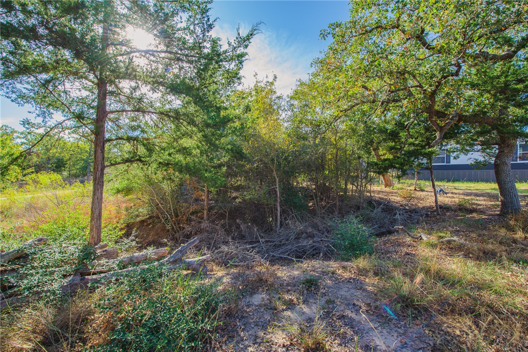 551 Boysenberry Road Somerville, TX 77879 - Photo 37 of 38 a view of a yard with a tree