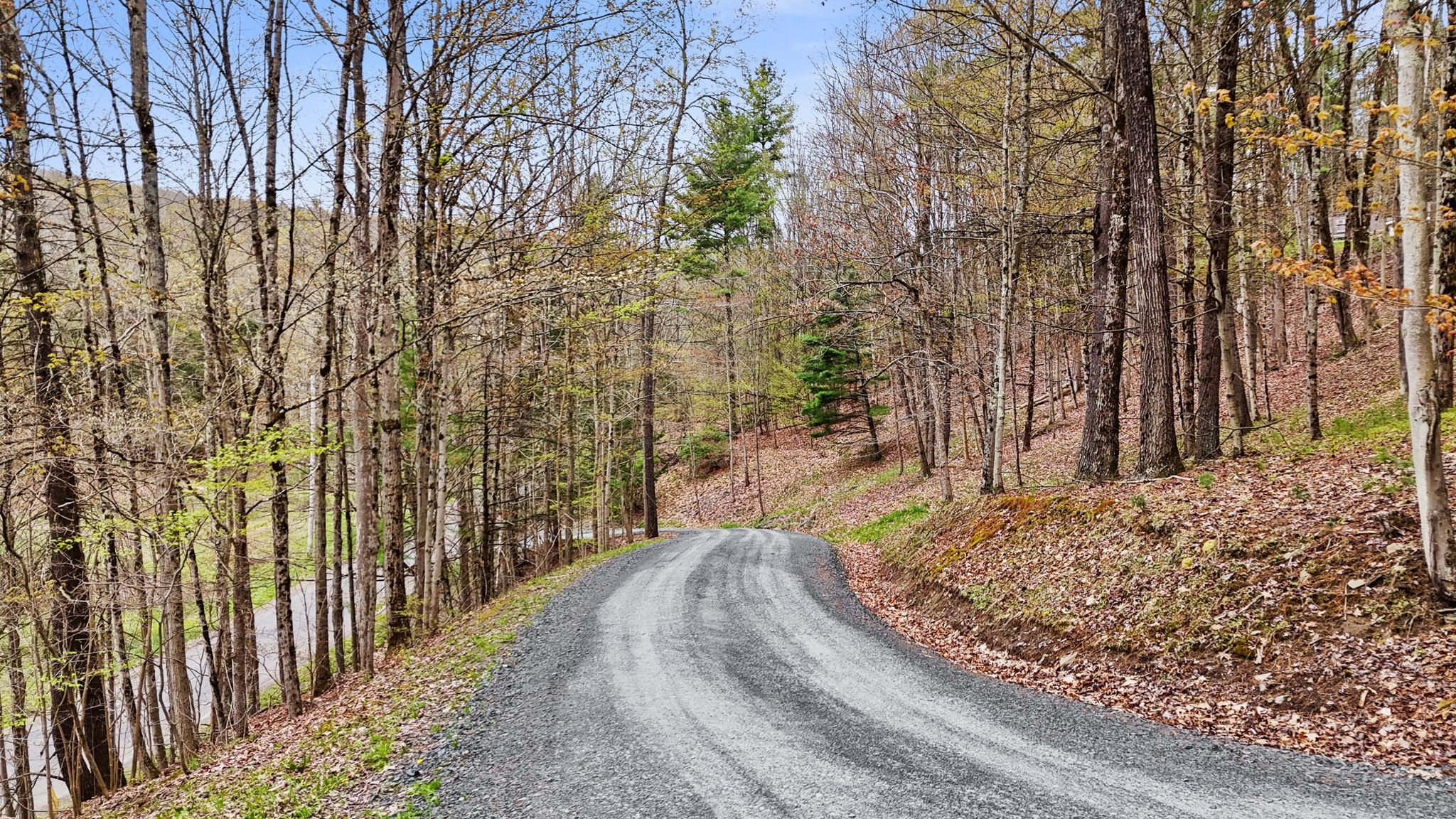 960 Long Creek Road Apalachin, NY 13732 - Photo 5 of 42