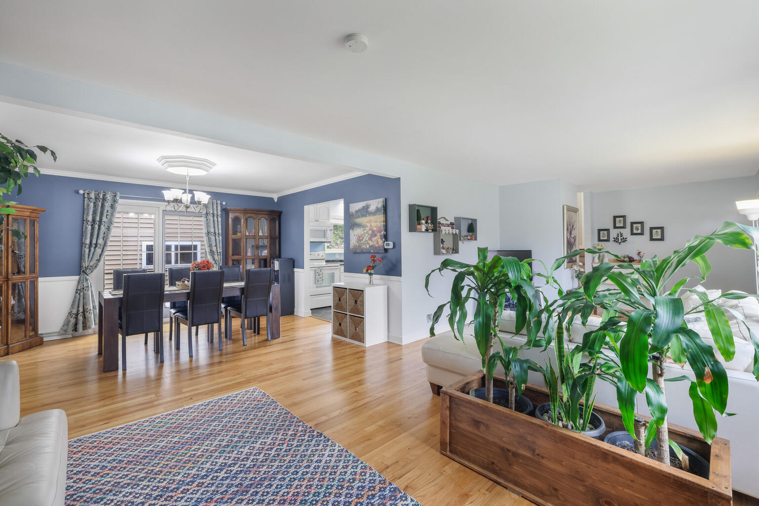 1508 Mayfair Road Champaign, IL 61821 - Photo 10 of 41 a living room with furniture and a potted plant