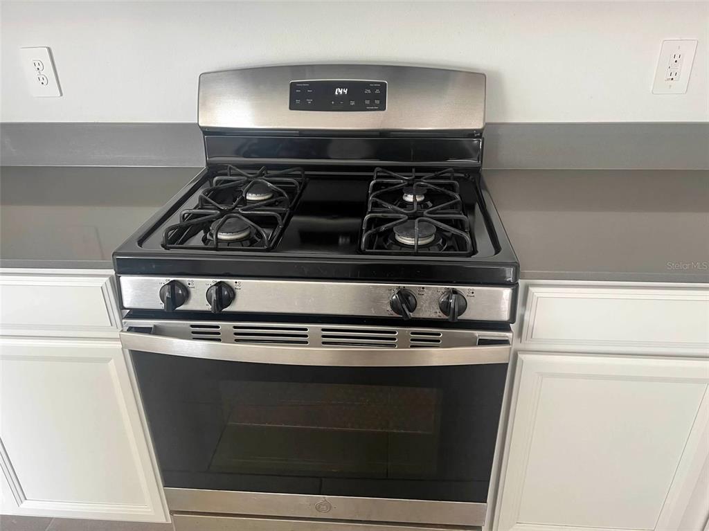 5554 Braken Fern Way Leesburg, FL 34748 - Photo 8 of 16 a stove top oven sitting inside of a kitchen