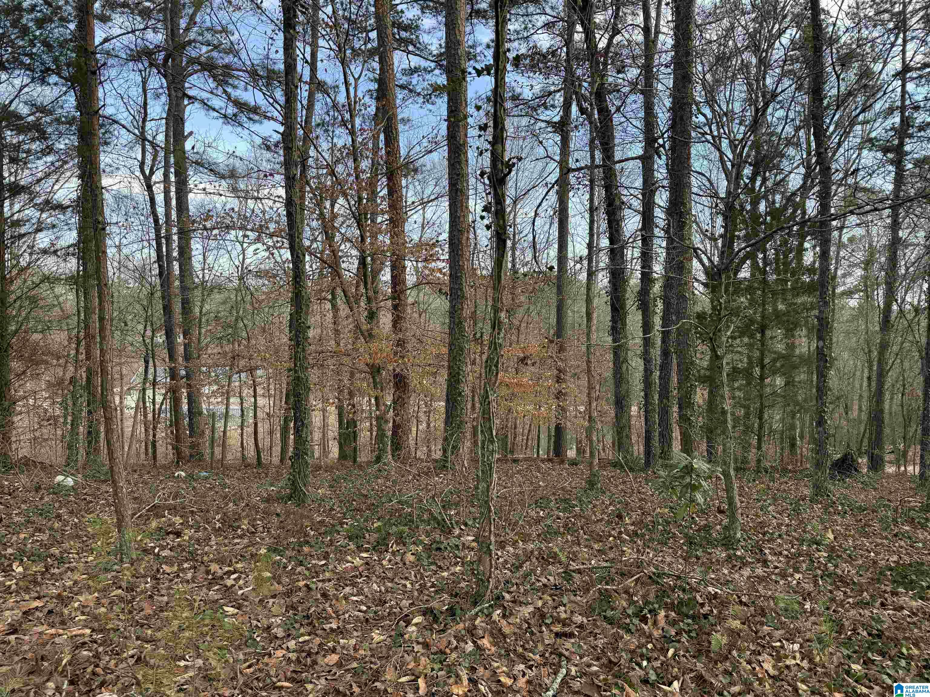 0 Old Georgia Road Fruithurst, AL 36262 - Photo 8 of 10