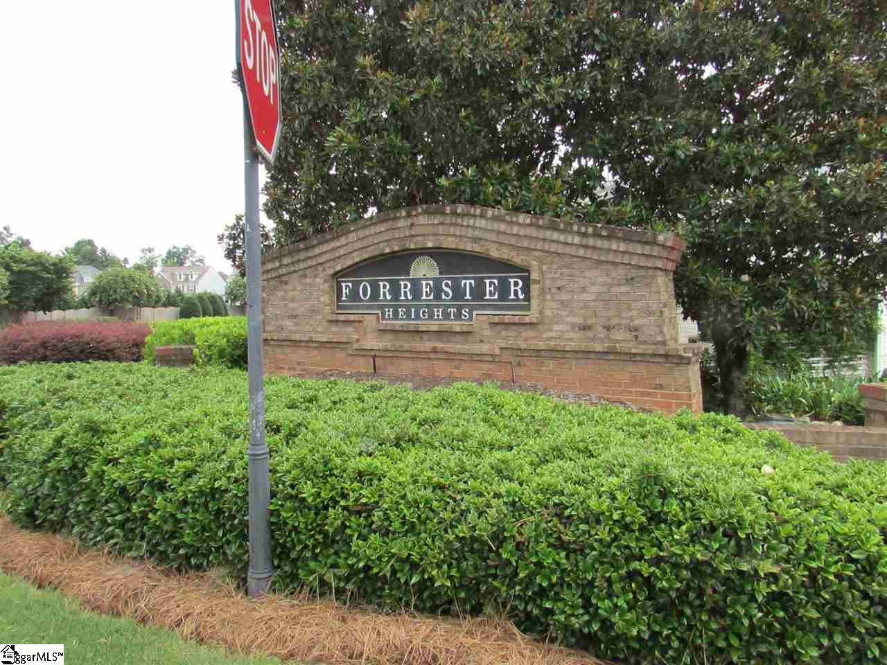 36 Pimmit Place Greenville, SC 29607 - Photo 36 of 36 Gallery Image 36