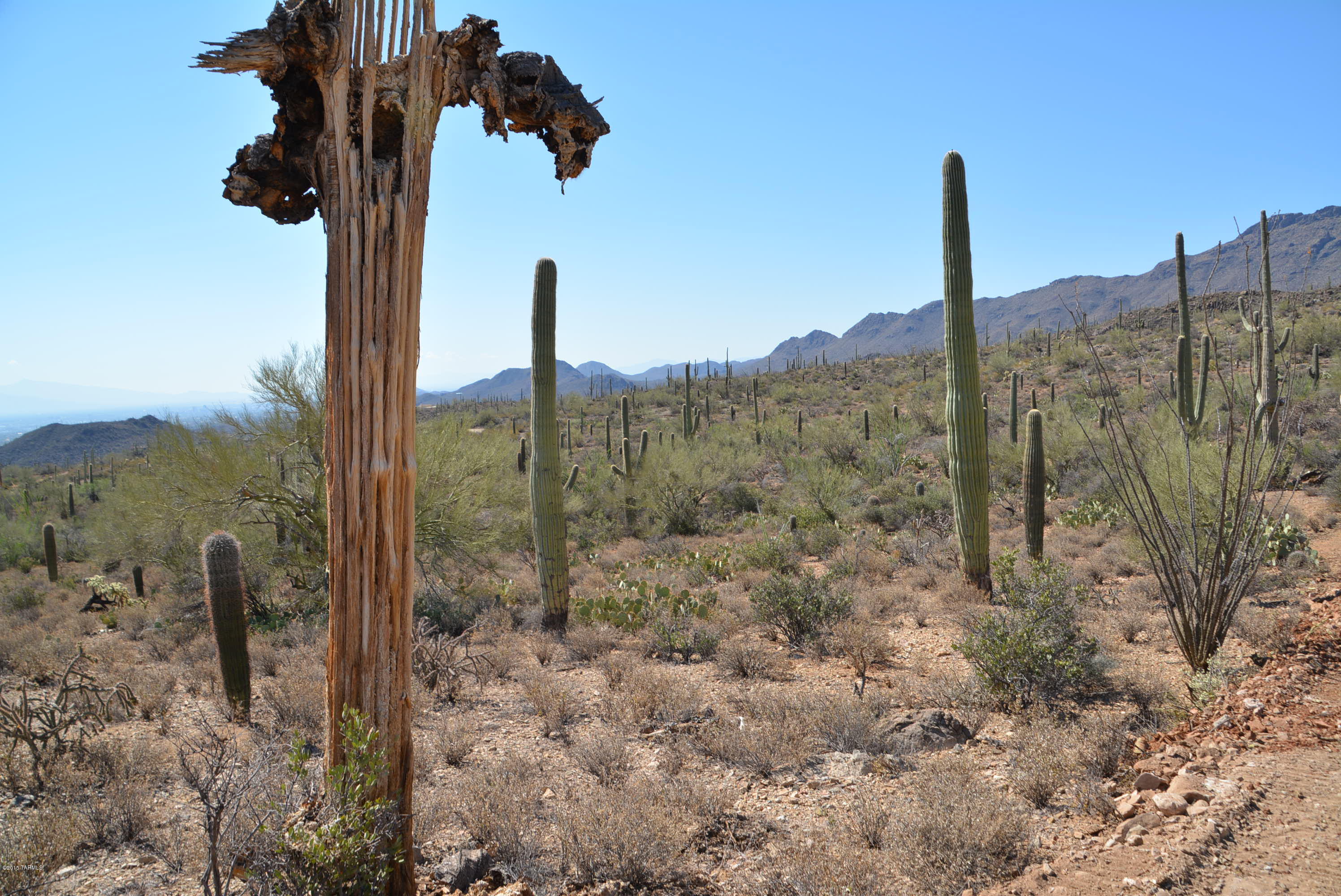 0 Broken Spring Tucson, AZ 85745 - Photo 14 of 24