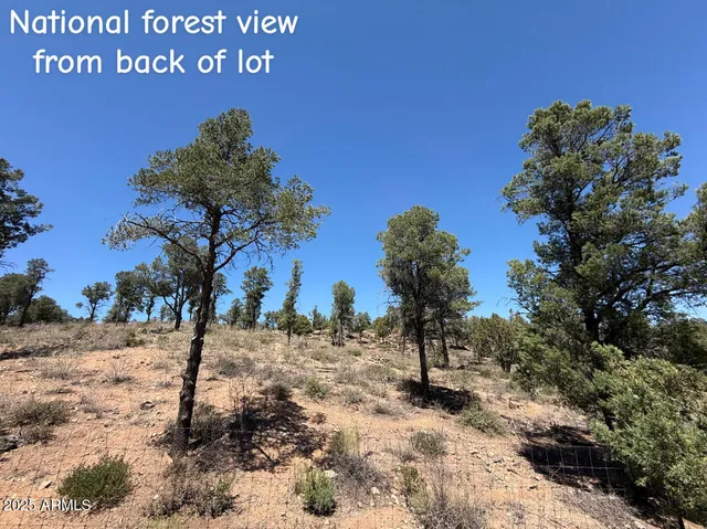 $1,315,000 | 1115 North Scenic Drive, Payson, AZ 85541