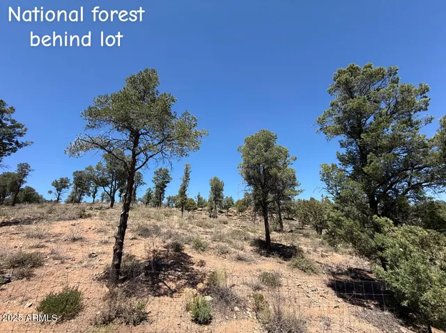 $1,315,000 | 1115 North Scenic Drive, Payson, AZ 85541