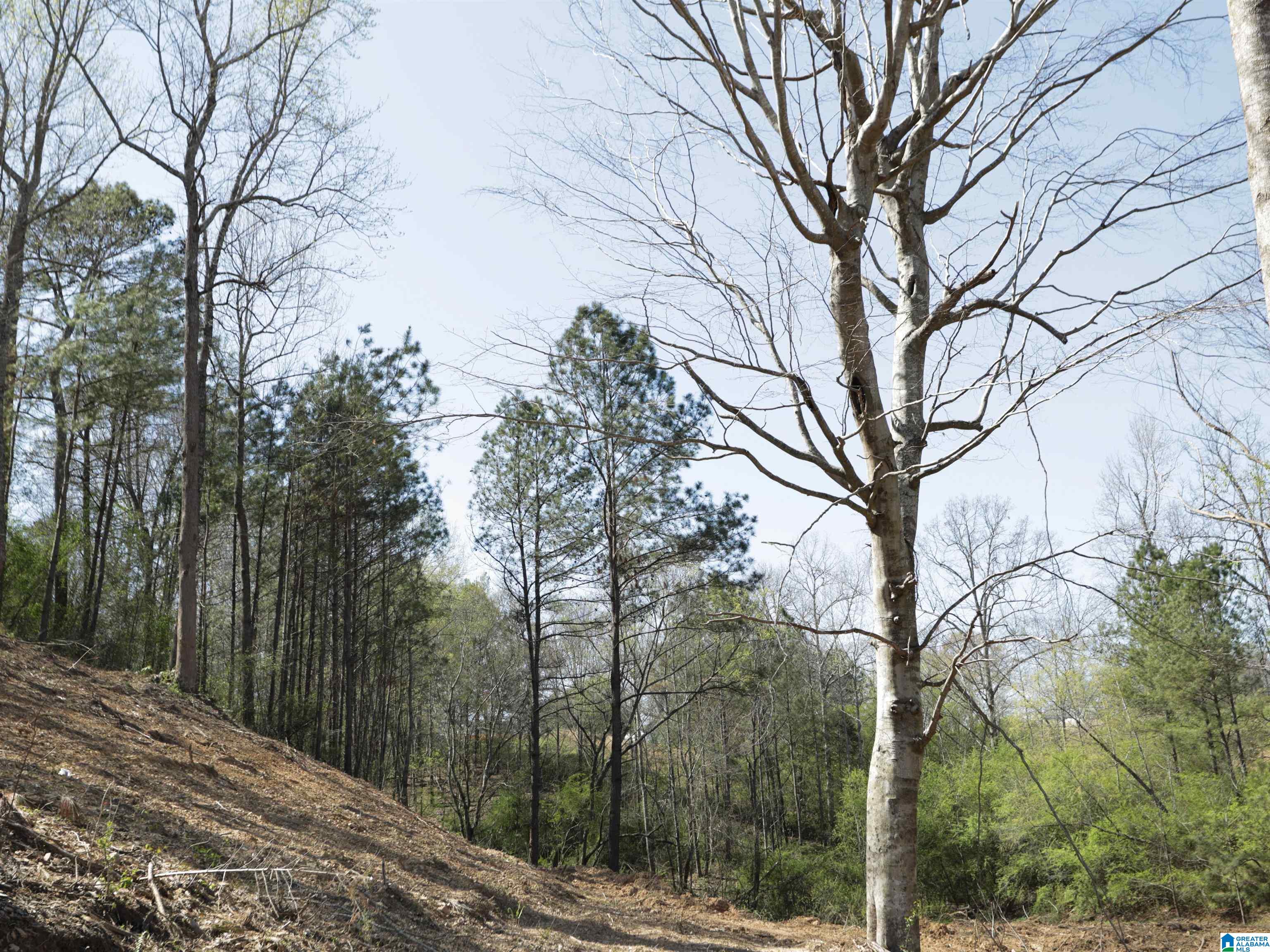 879 Timmerman Road Blountsville, AL 35031 - Photo 65 of 72