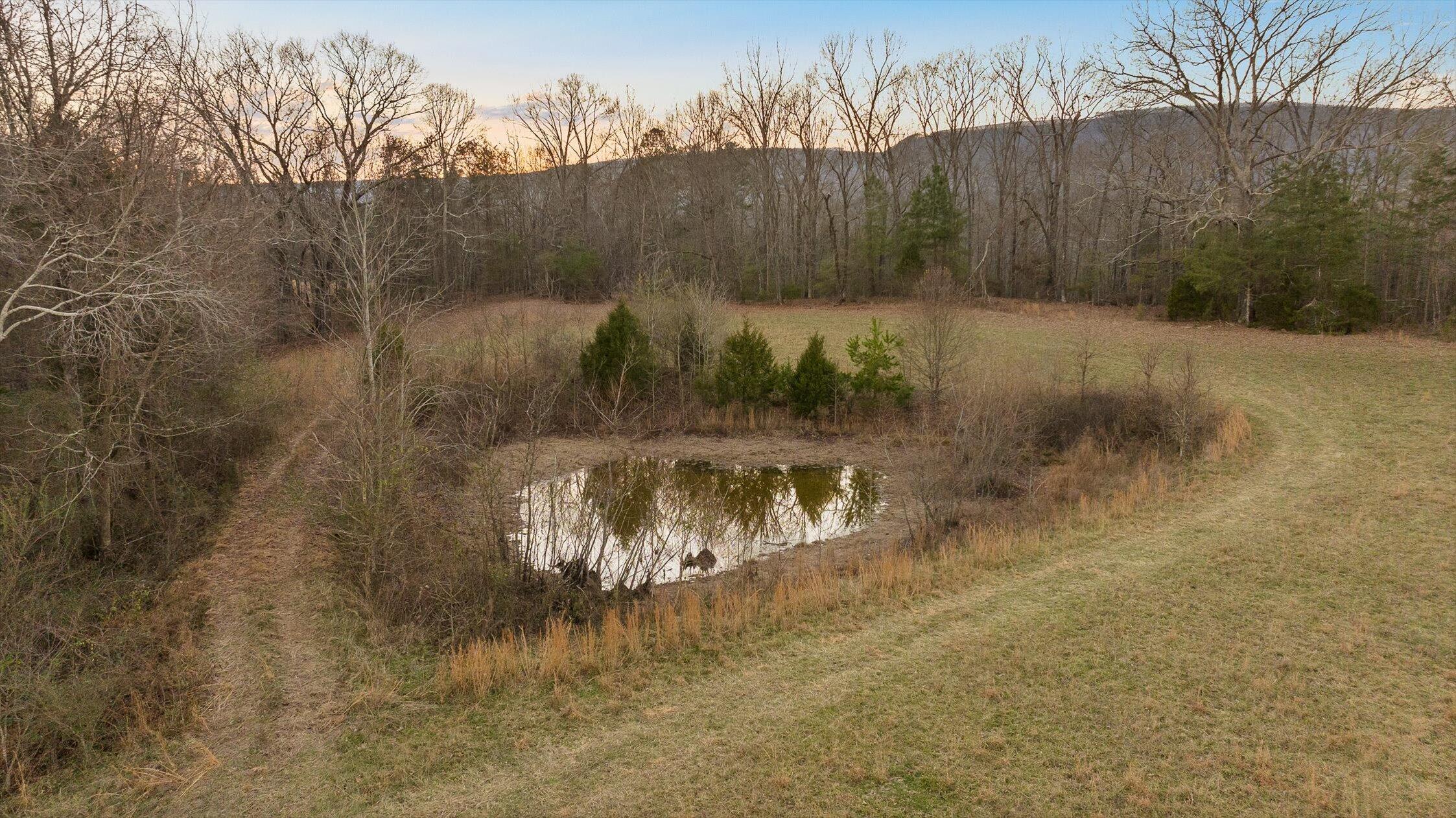0 West Cove Road, Unit 59 5 AC Chickamauga, GA 30707 - Photo 104 of 105 112-W Cove (60 Acres) - Sunset-55