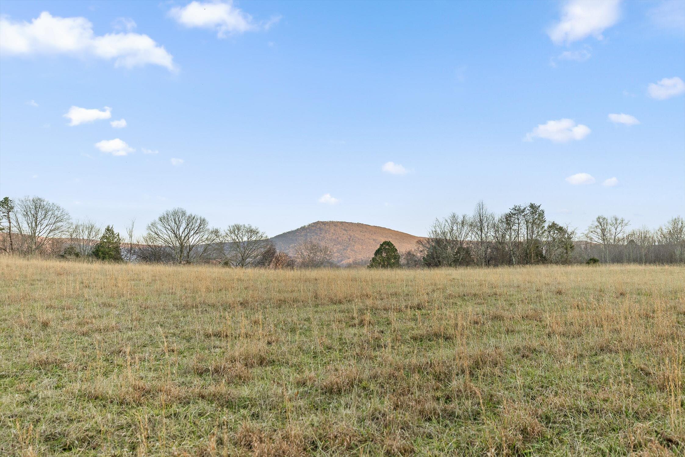 0 West Cove Road, Unit 59 5 AC Chickamauga, GA 30707 - Photo 11 of 105 009-W Cove - 60 Acres-8