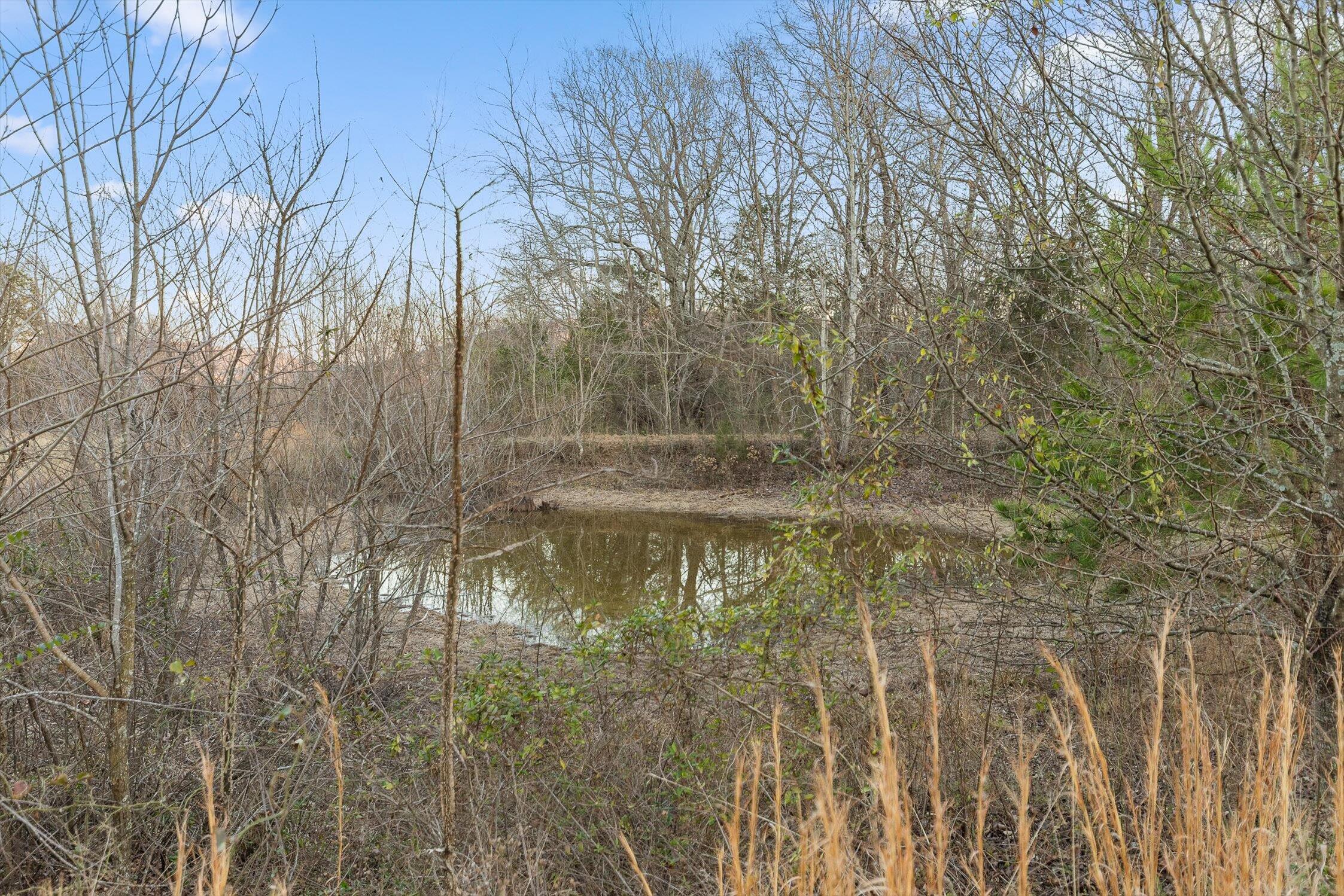 0 West Cove Road, Unit 59 5 AC Chickamauga, GA 30707 - Photo 12 of 105 010-W Cove - 60 Acres-9