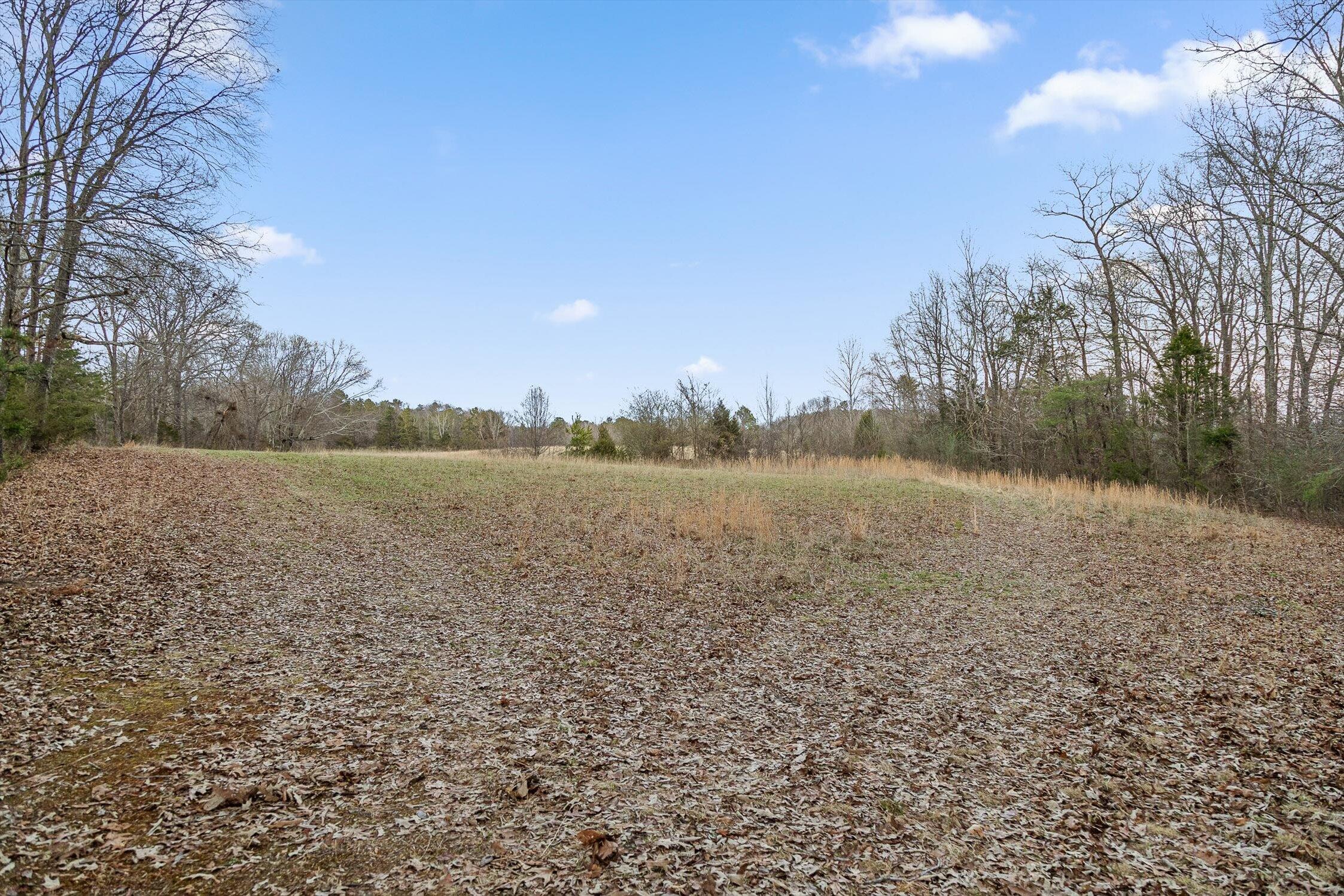 0 West Cove Road, Unit 59 5 AC Chickamauga, GA 30707 - Photo 14 of 105 012-W Cove - 60 Acres-11