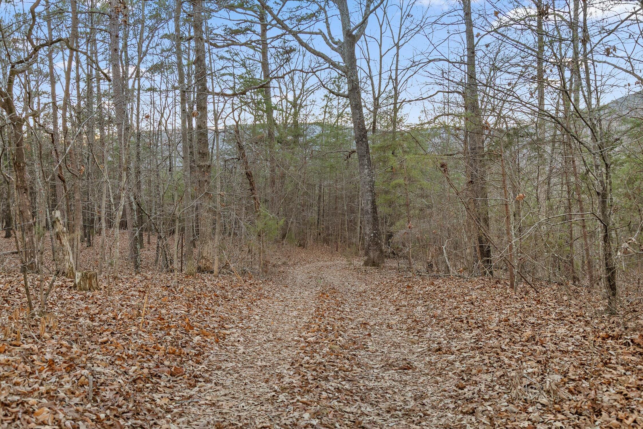 0 West Cove Road, Unit 59 5 AC Chickamauga, GA 30707 - Photo 15 of 105 013-W Cove - 60 Acres-12