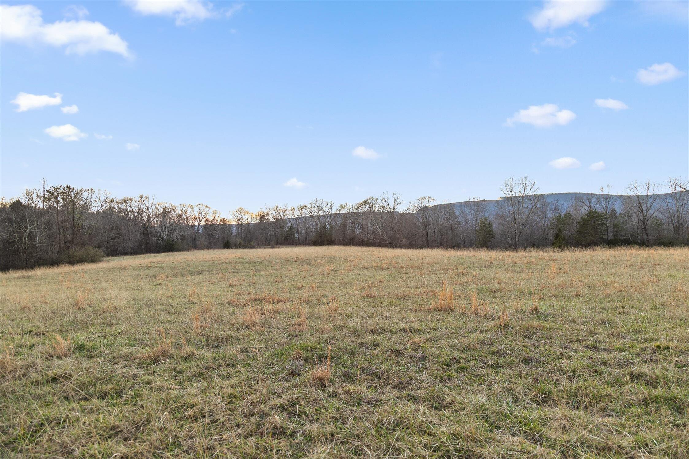 0 West Cove Road, Unit 59 5 AC Chickamauga, GA 30707 - Photo 18 of 105 017-W Cove - 60 Acres-16