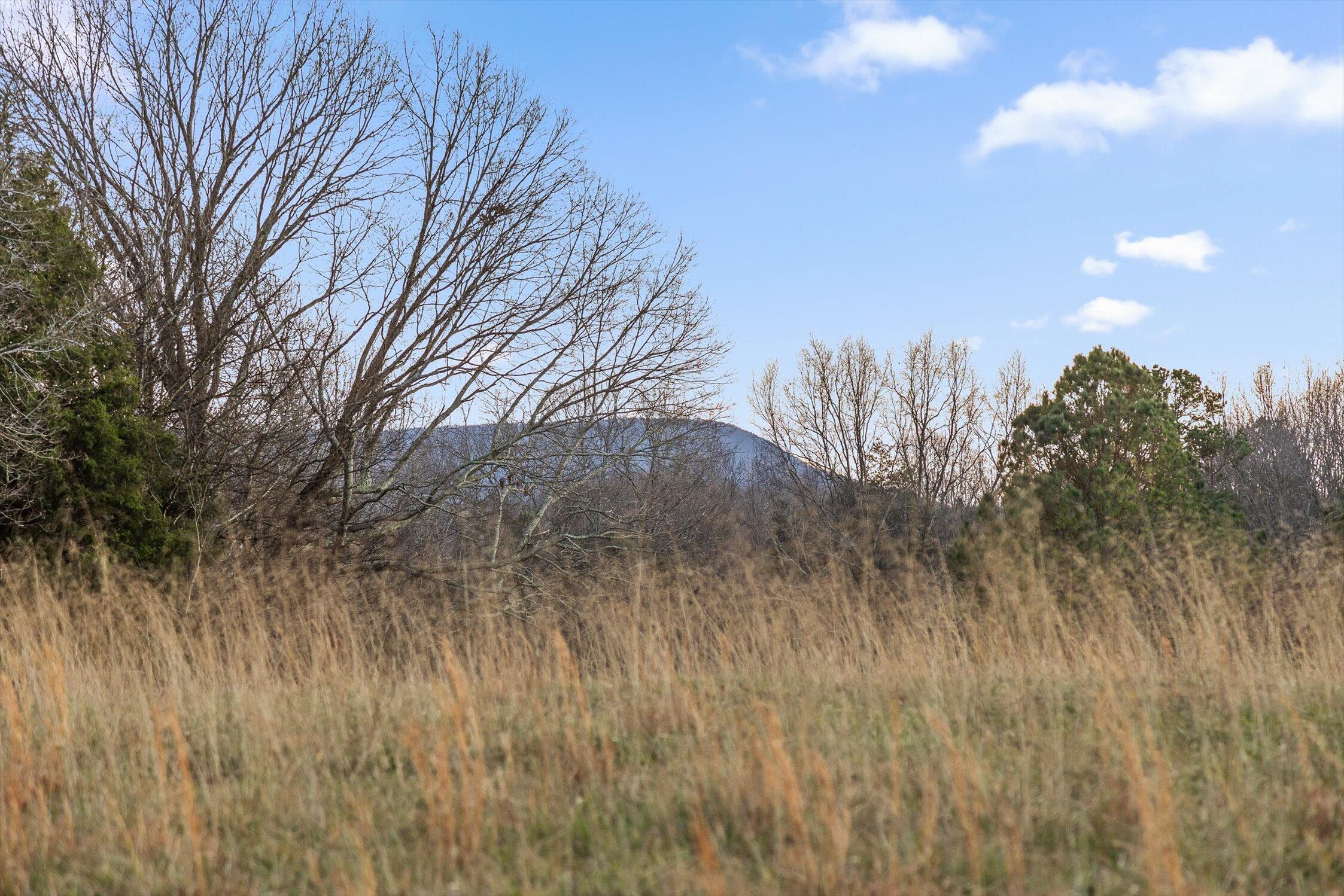 0 West Cove Road, Unit 59 5 AC Chickamauga, GA 30707 - Photo 19 of 105 018-W Cove - 60 Acres-17