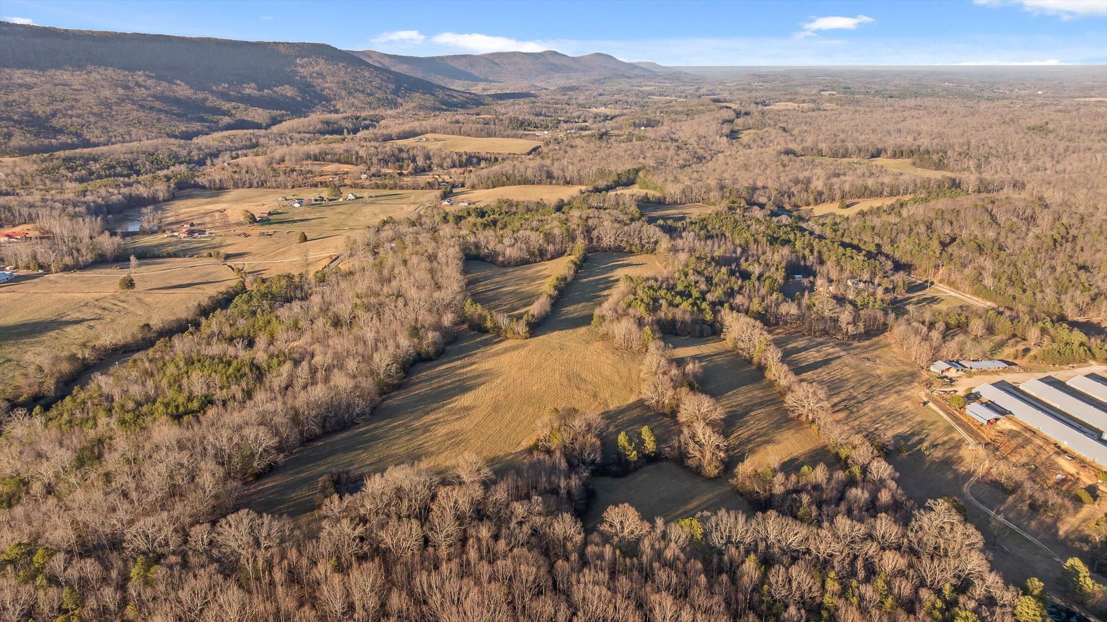 0 West Cove Road, Unit 59 5 AC Chickamauga, GA 30707 - Photo 32 of 105 032-W Cove - 60 Acres-31