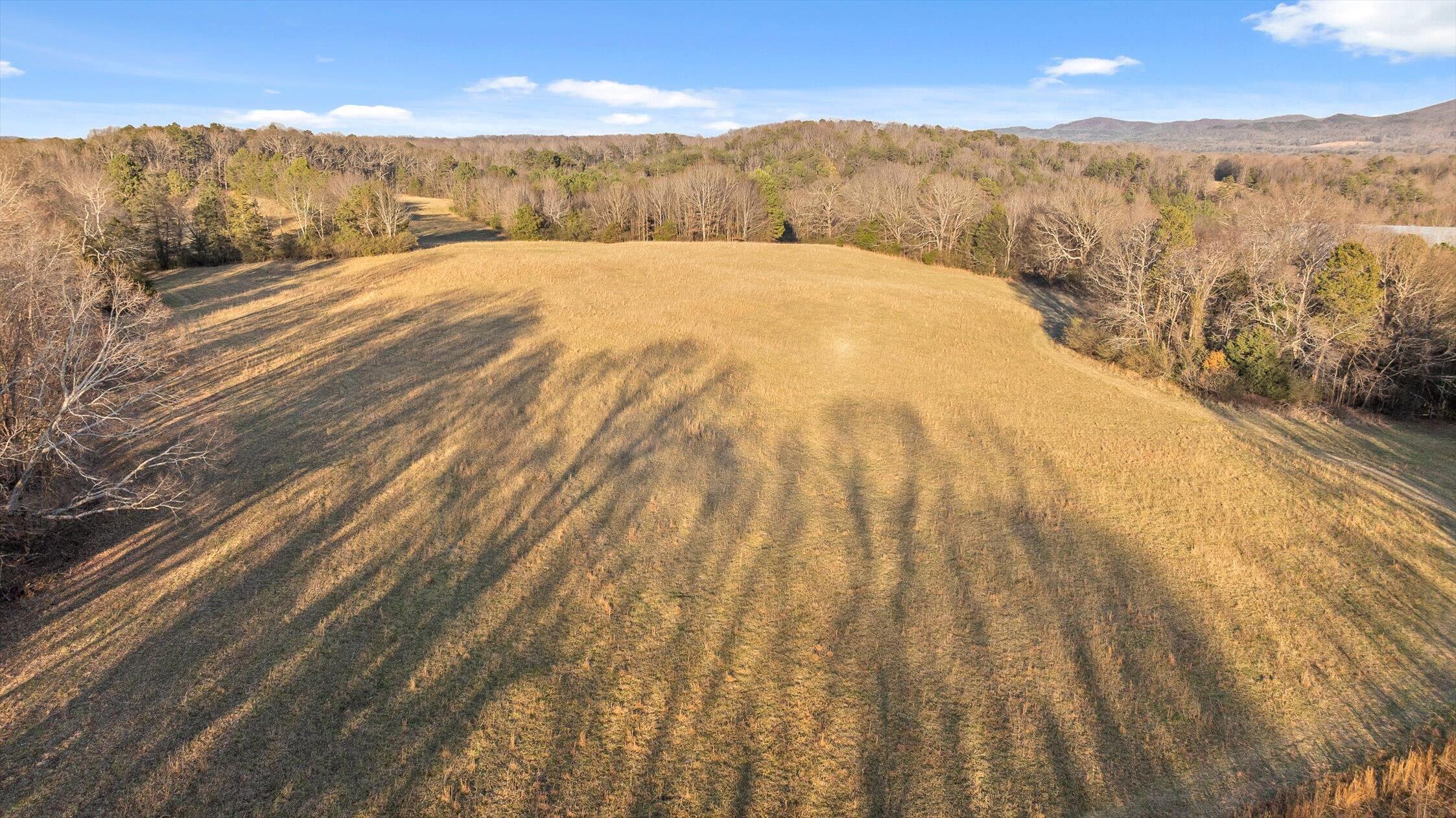 0 West Cove Road, Unit 59 5 AC Chickamauga, GA 30707 - Photo 36 of 105 036-W Cove - 60 Acres-35