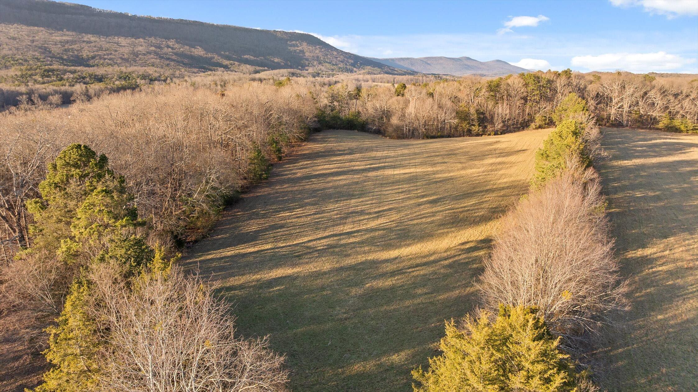 0 West Cove Road, Unit 59 5 AC Chickamauga, GA 30707 - Photo 39 of 105 039-W Cove - 60 Acres-38