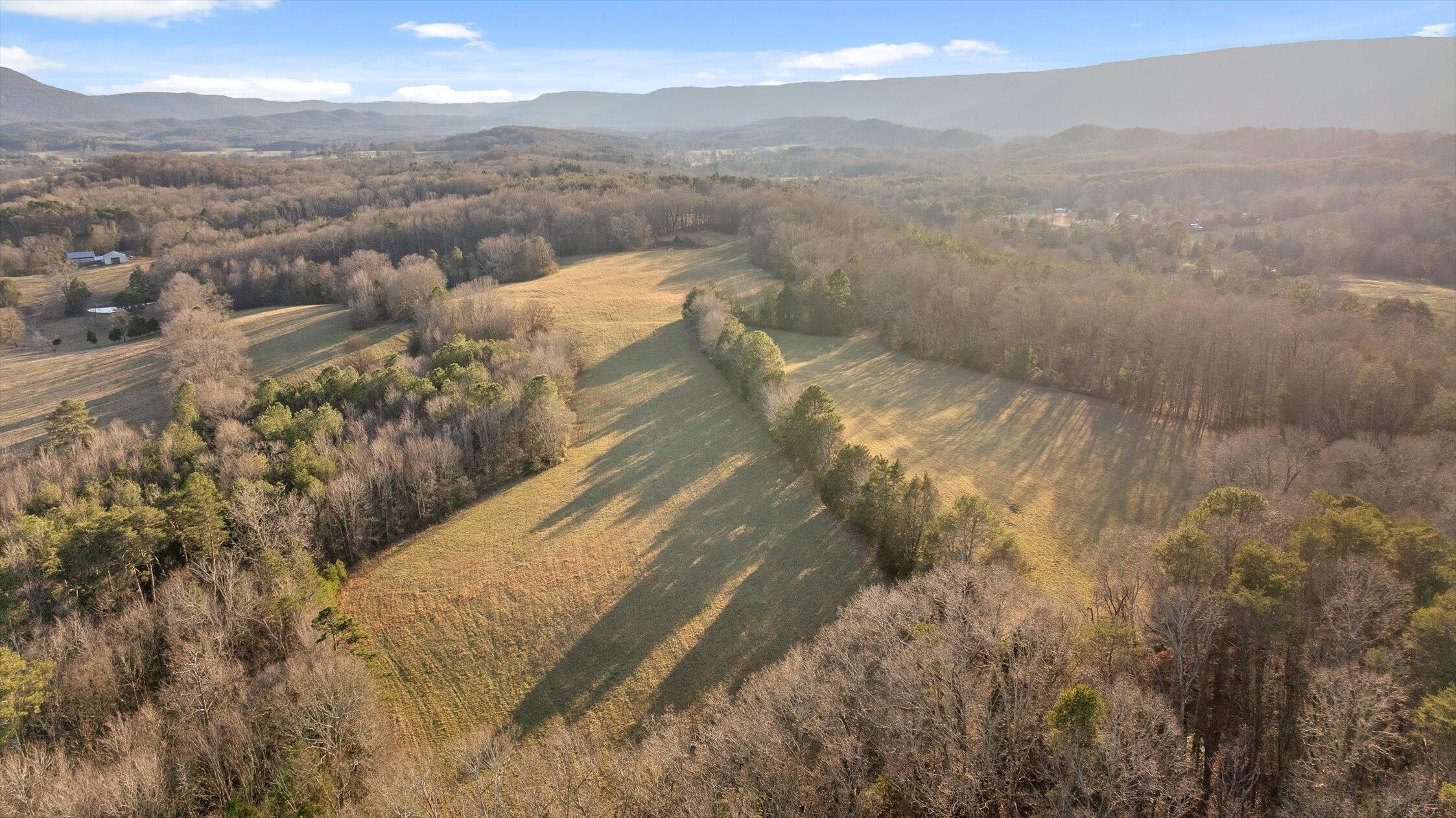 0 West Cove Road, Unit 59 5 AC Chickamauga, GA 30707 - Photo 42 of 105 042-W Cove - 60 Acres-41