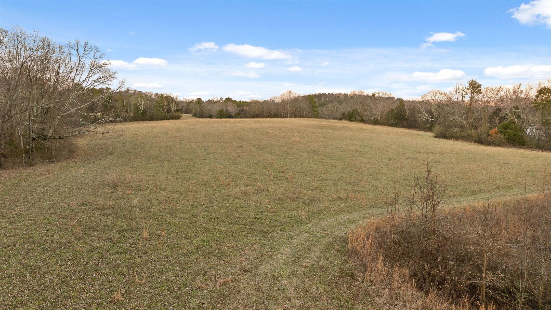 0 West Cove Road, Unit 59 5 AC Chickamauga, GA 30707 - Photo 45 of 105 048-W Cove - 60 Acres-47