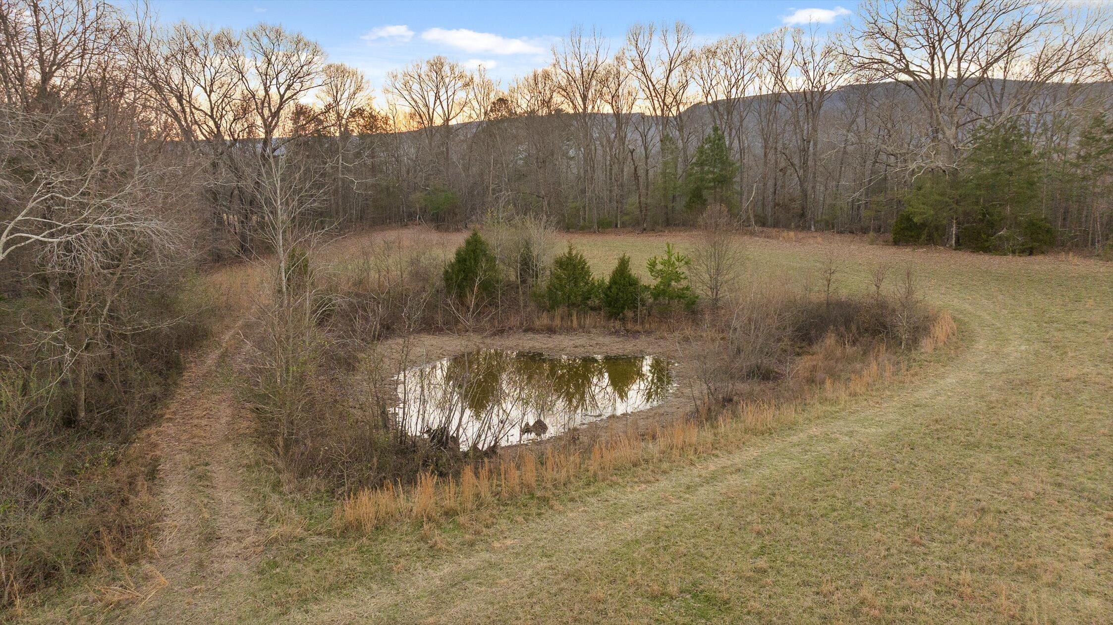0 West Cove Road, Unit 59 5 AC Chickamauga, GA 30707 - Photo 52 of 105 056-W Cove - 60 Acres-55