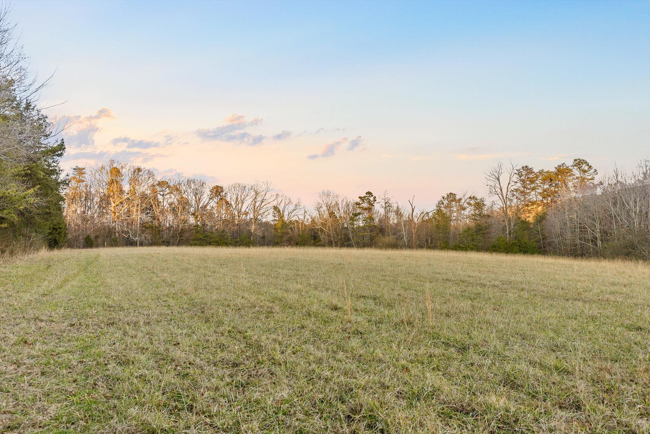 0 West Cove Road, Unit 59 5 AC Chickamauga, GA 30707 - Photo 56 of 105 060-W Cove (60 Acres) - Sunset-3