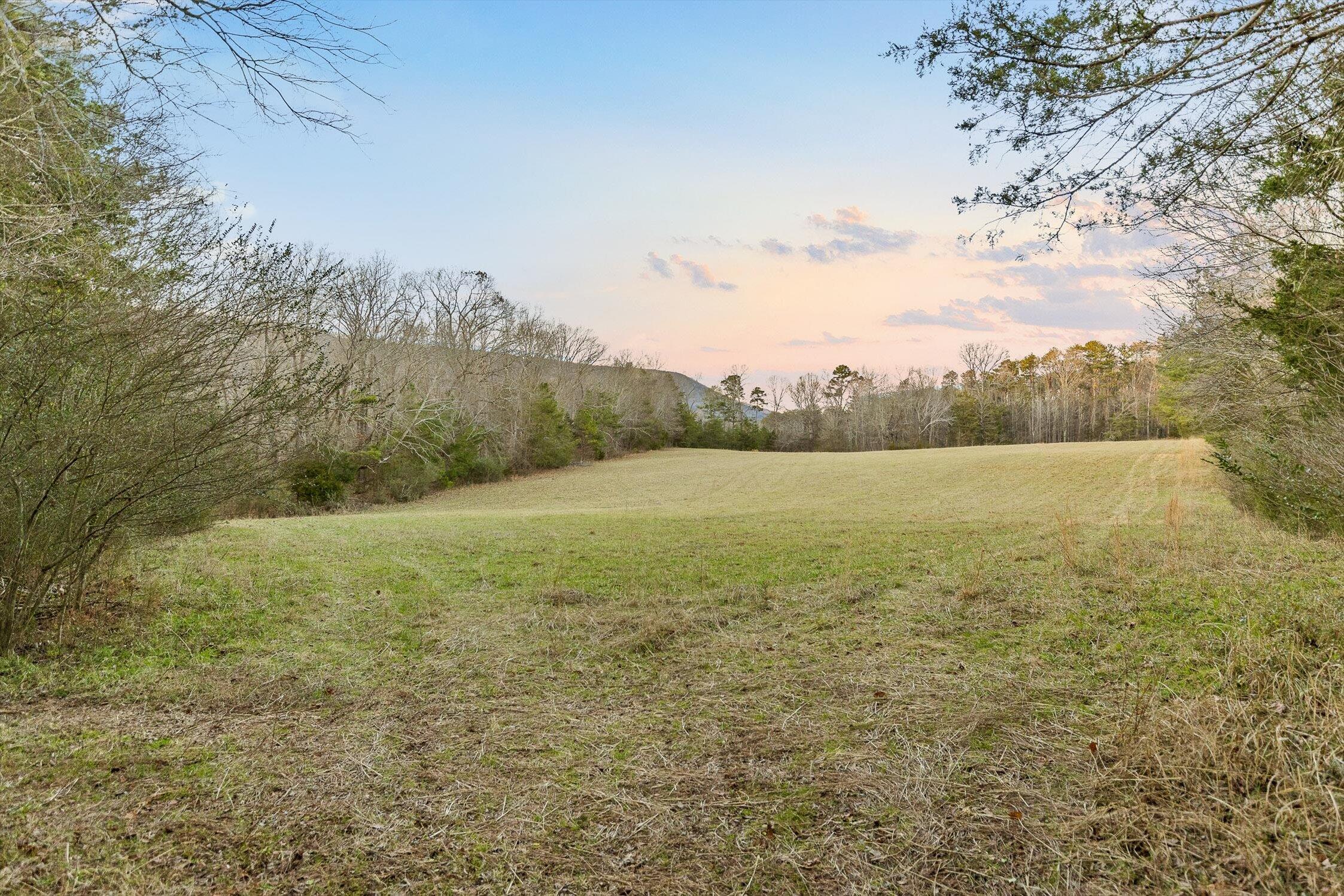 0 West Cove Road, Unit 59 5 AC Chickamauga, GA 30707 - Photo 59 of 105 063-W Cove (60 Acres) - Sunset-6