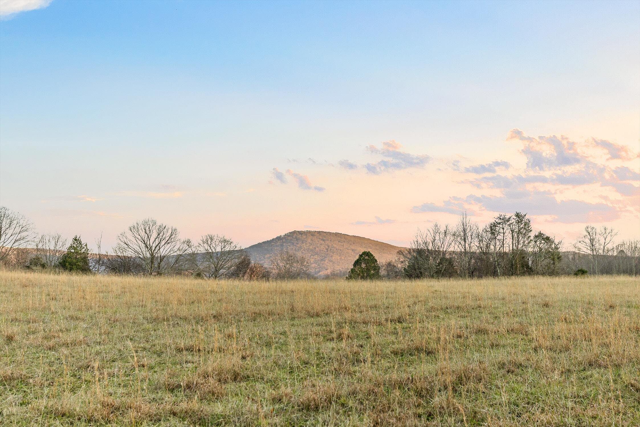 0 West Cove Road, Unit 59 5 AC Chickamauga, GA 30707 - Photo 60 of 105 065-W Cove (60 Acres) - Sunset-8