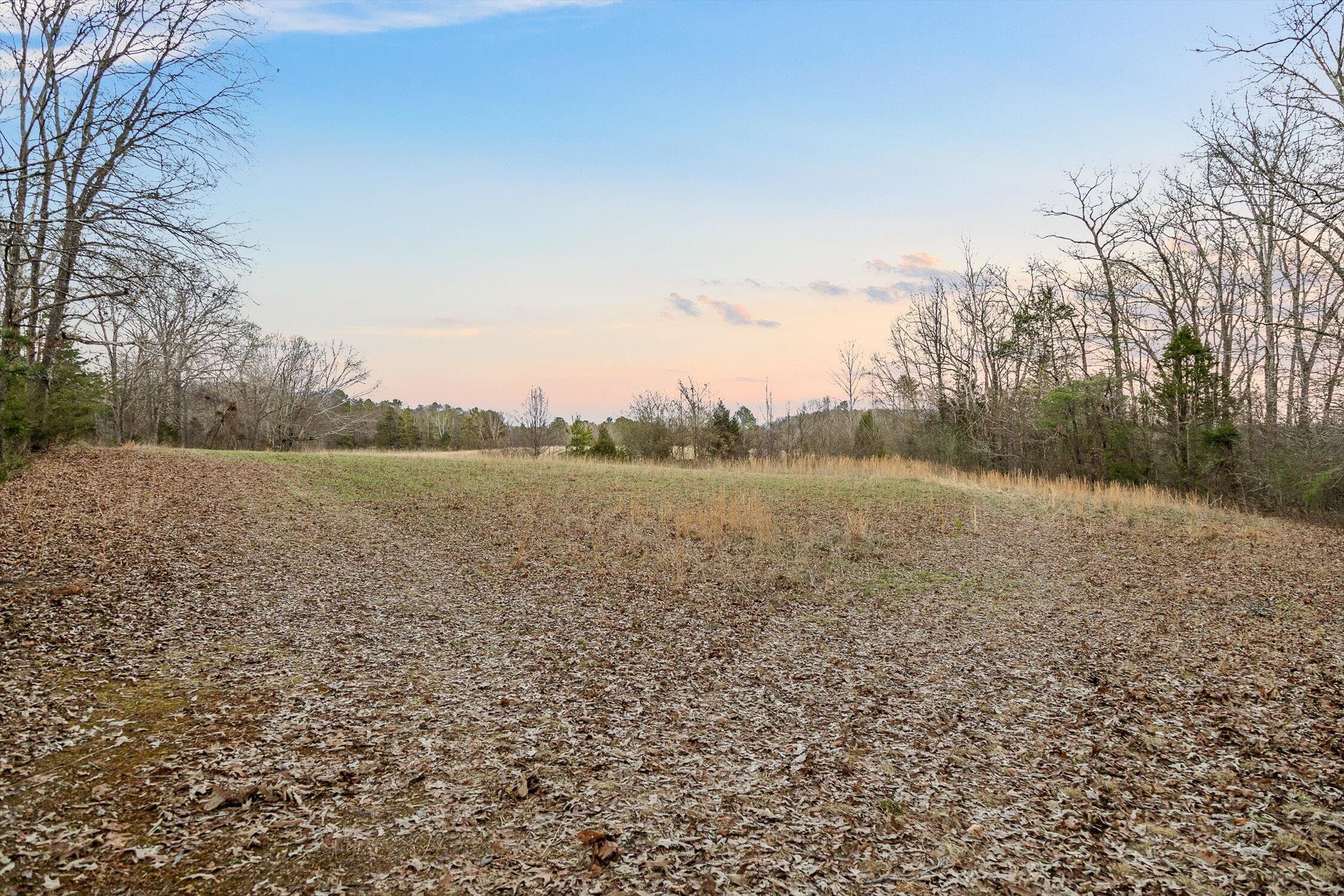 0 West Cove Road, Unit 59 5 AC Chickamauga, GA 30707 - Photo 63 of 105 068-W Cove (60 Acres) - Sunset-11