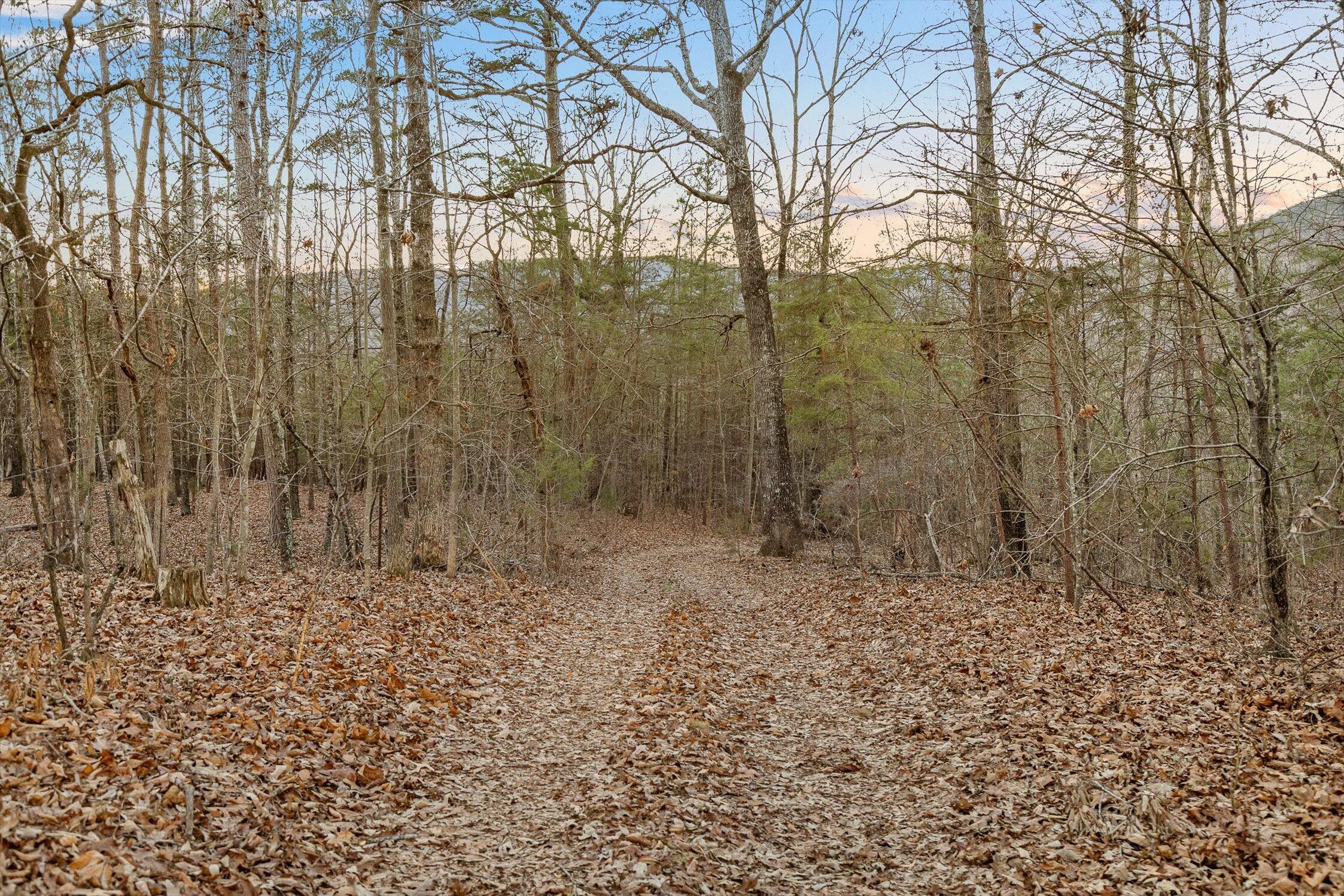 0 West Cove Road, Unit 59 5 AC Chickamauga, GA 30707 - Photo 64 of 105 069-W Cove (60 Acres) - Sunset-12