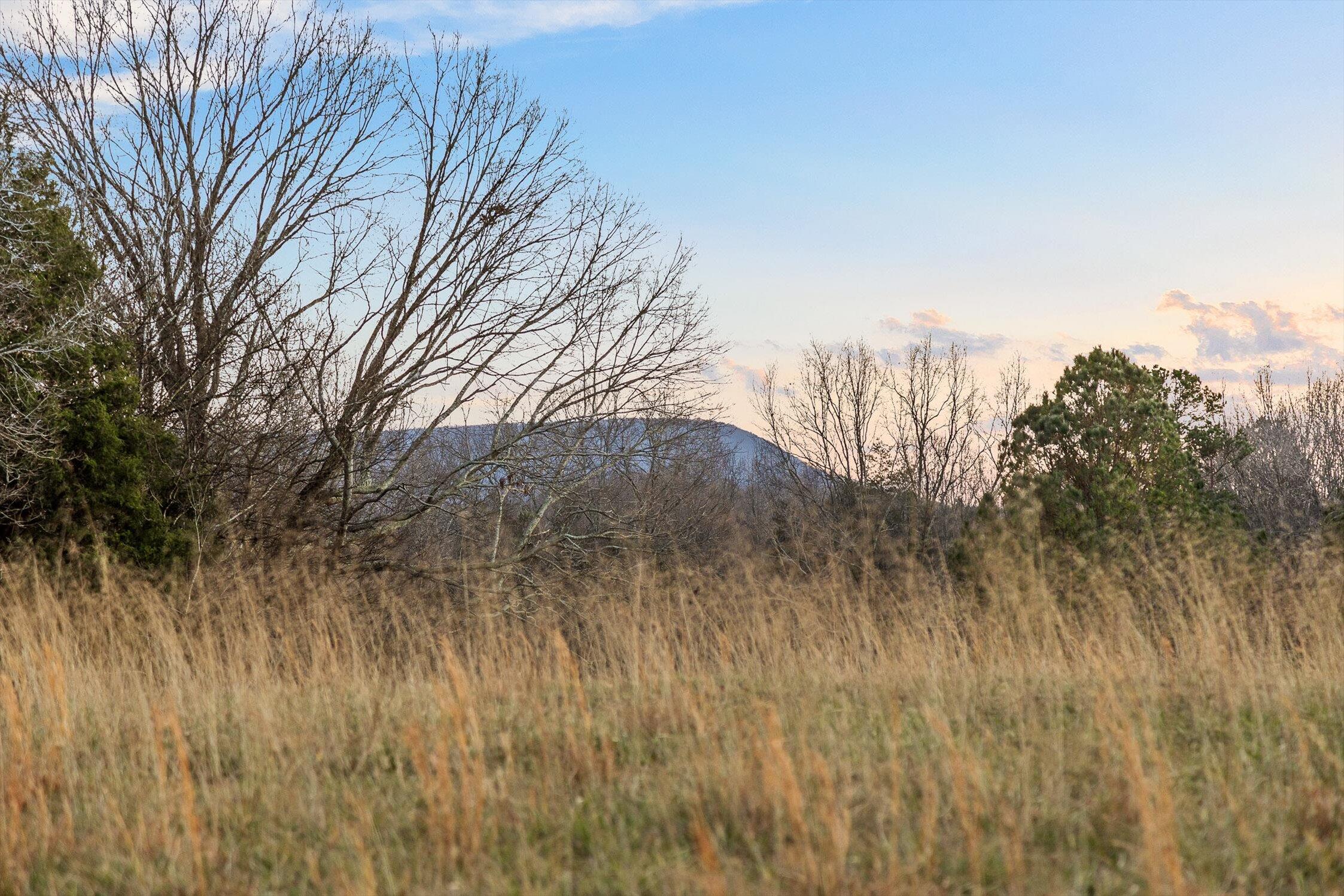 0 West Cove Road, Unit 59 5 AC Chickamauga, GA 30707 - Photo 69 of 105 074-W Cove (60 Acres) - Sunset-17