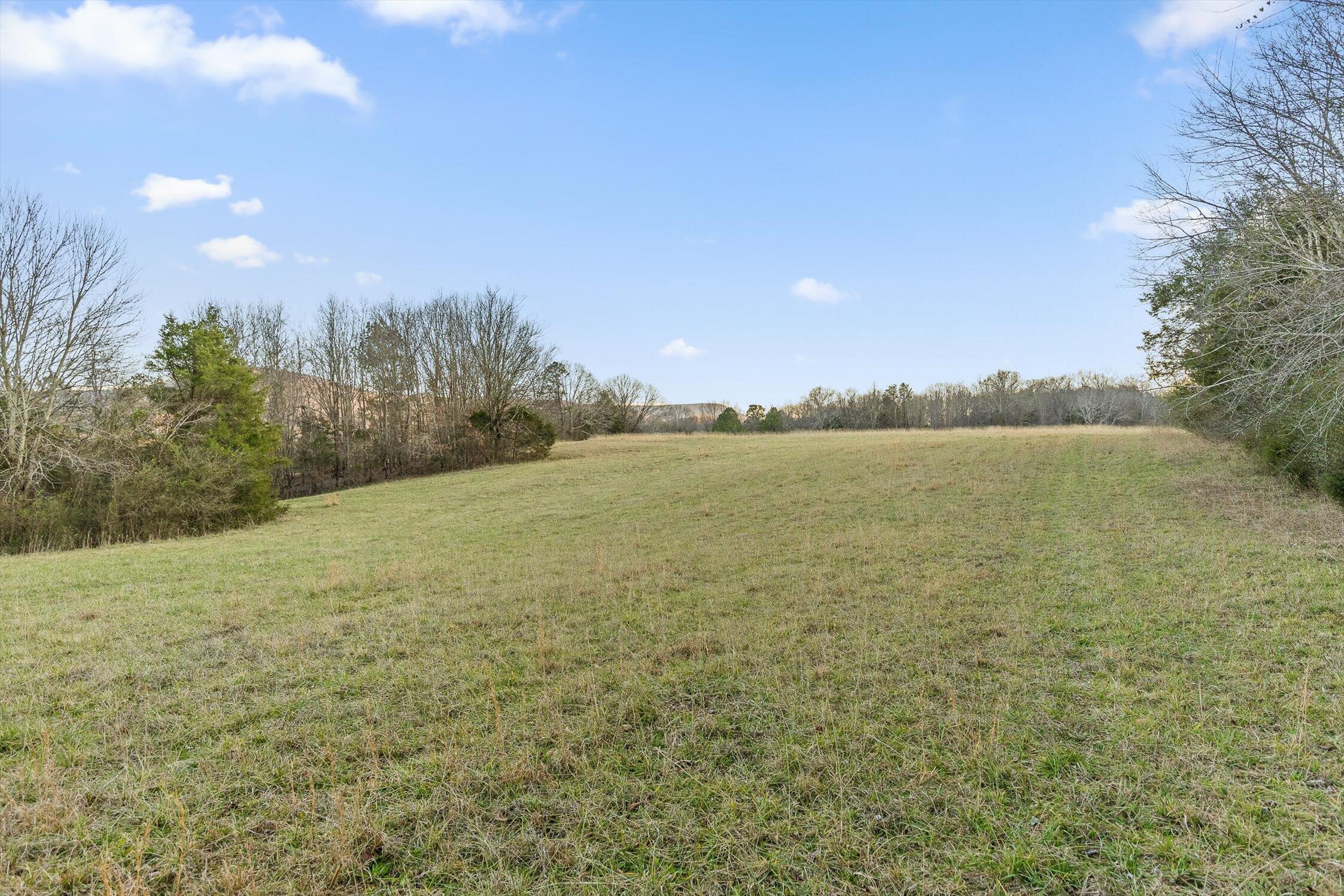 0 West Cove Road, Unit 59 5 AC Chickamauga, GA 30707 - Photo 7 of 105 005-W Cove - 60 Acres-4