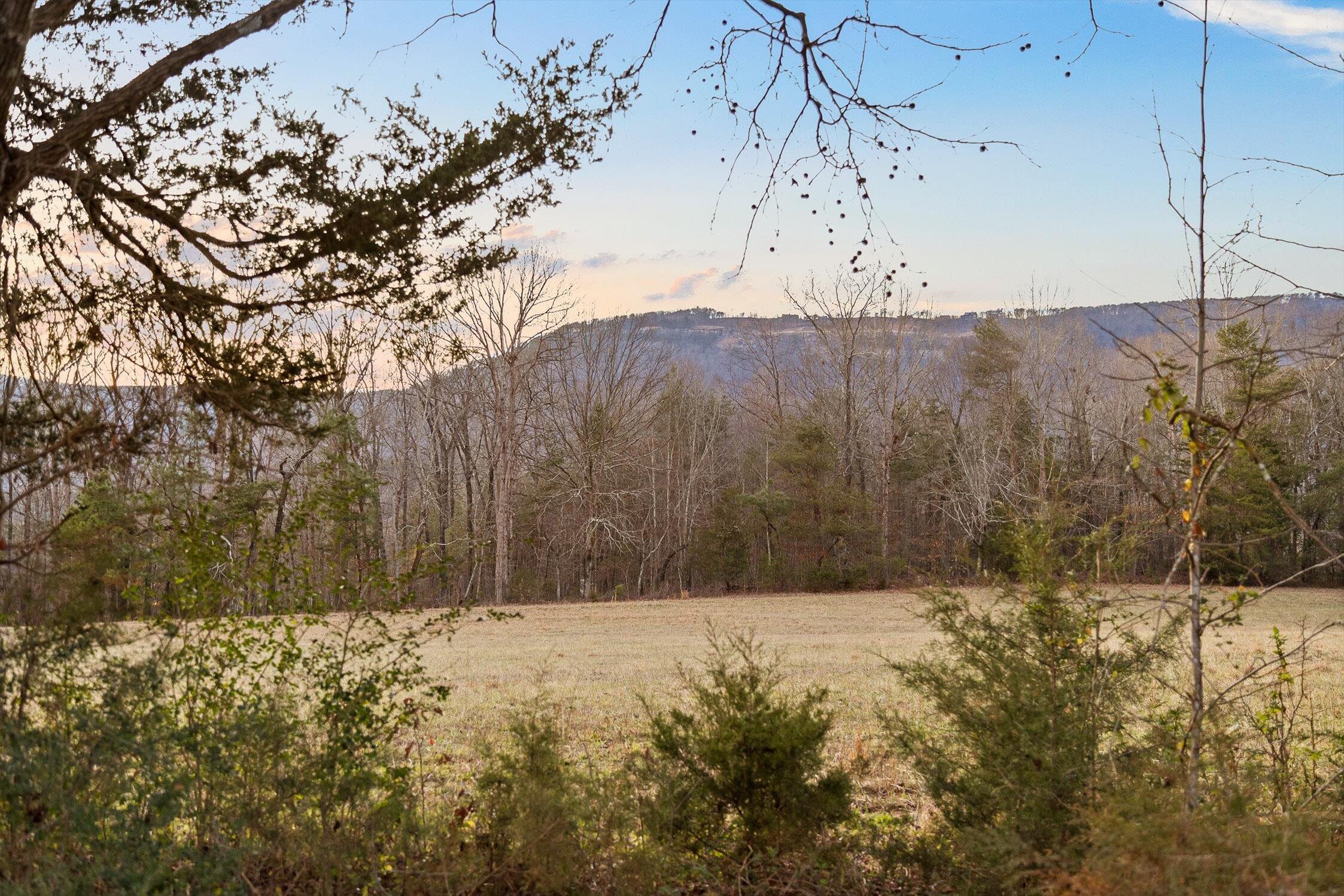0 West Cove Road, Unit 59 5 AC Chickamauga, GA 30707 - Photo 71 of 105 077-W Cove (60 Acres) - Sunset-20