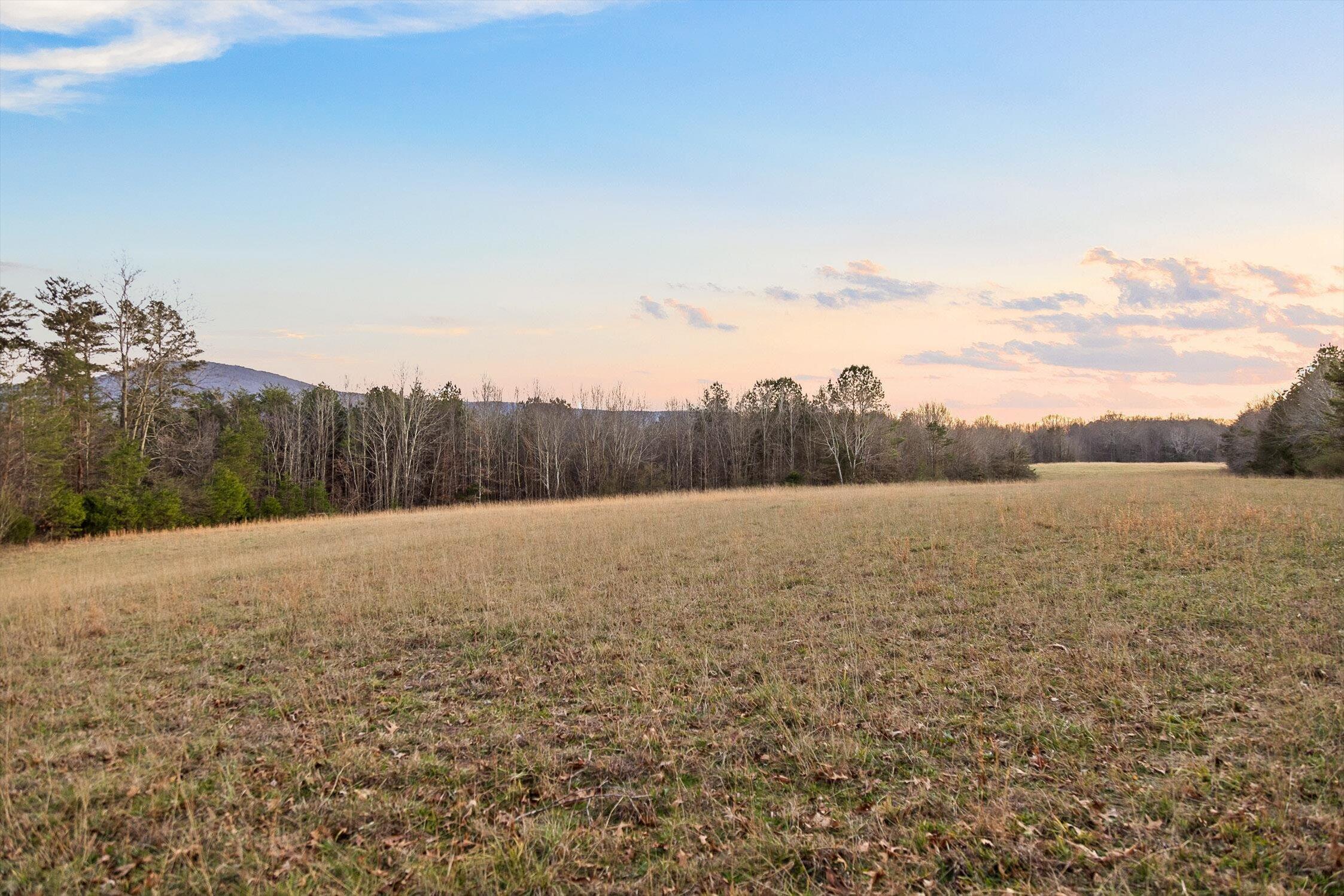 0 West Cove Road, Unit 59 5 AC Chickamauga, GA 30707 - Photo 72 of 105 078-W Cove (60 Acres) - Sunset-21
